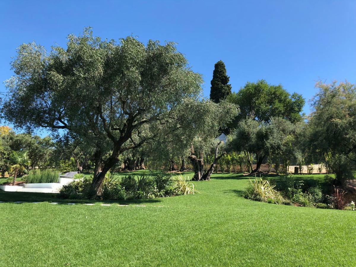 Villa Il Bacio Del Sole Verona Ngoại thất bức ảnh