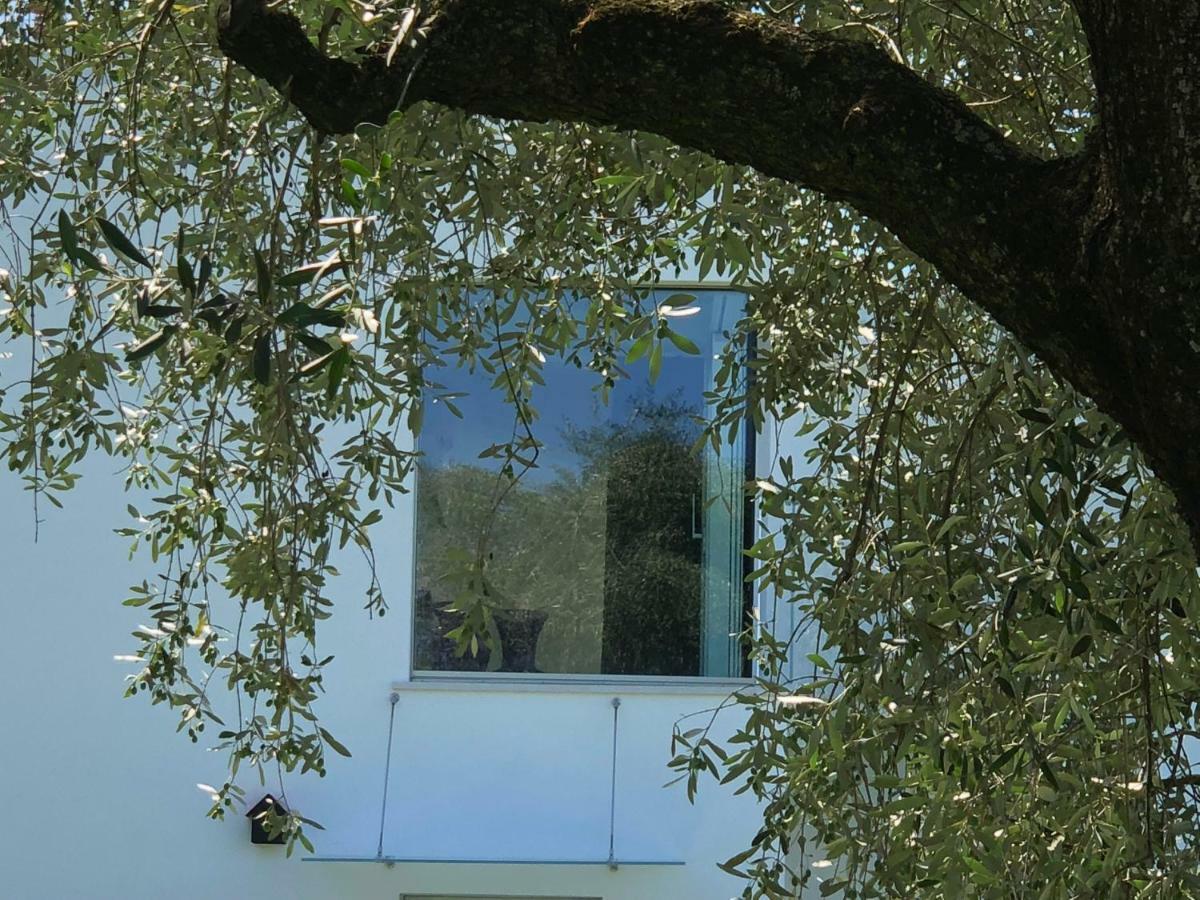 Villa Il Bacio Del Sole Verona Ngoại thất bức ảnh